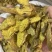 黄藤根大黄藤黄莲藤大黄腾藤黄连黄连藤黄滕正品