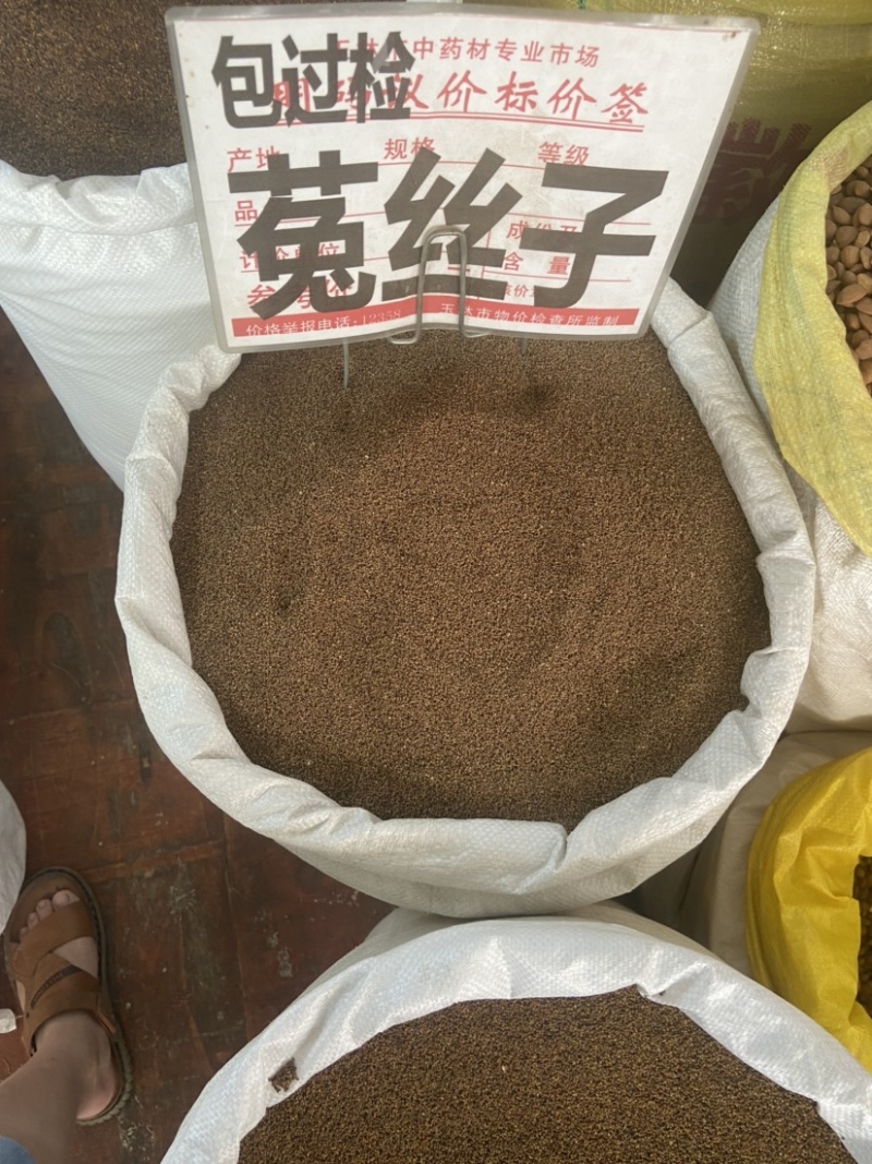 菟丝子中药材菟丝子粉内蒙古野生菟丝子茶兔丝子