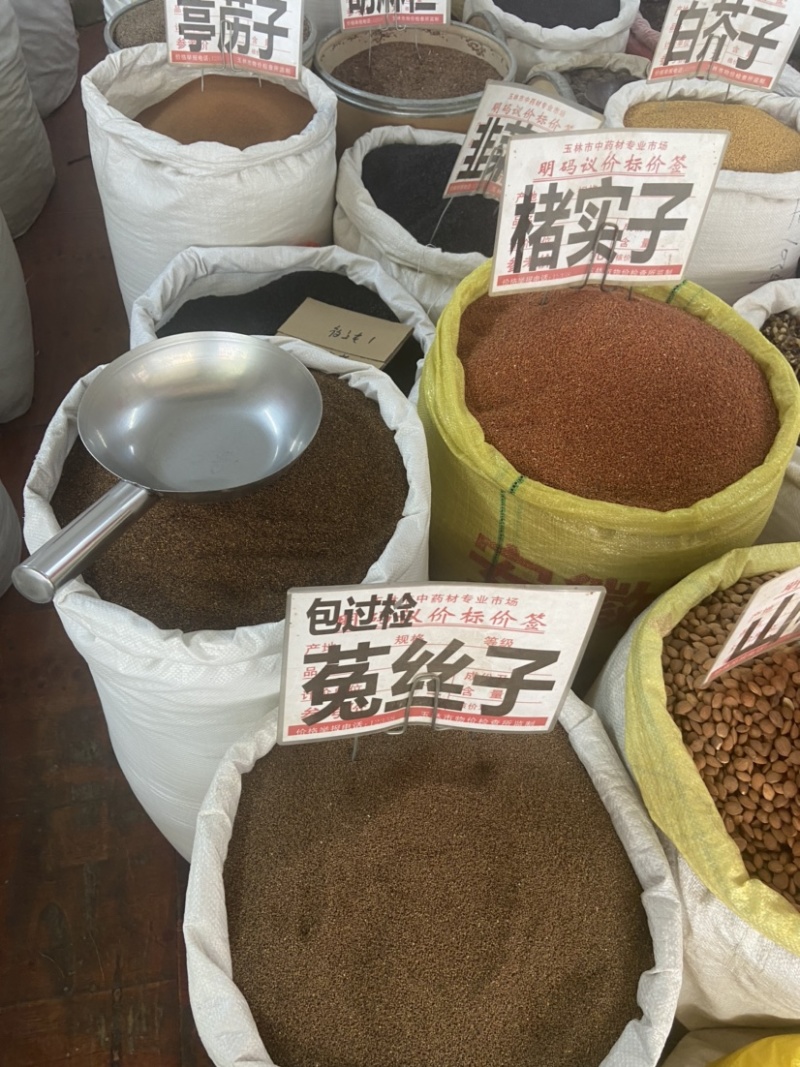 菟丝子中药材菟丝子粉内蒙古野生菟丝子茶兔丝子