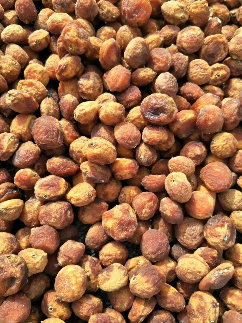 新疆伊犁掉干果货好有需要的联系我