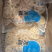 清水藕片真空藕片，火锅食材，超市电商团购批发一件代发