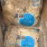 清水藕片真空藕片，火锅食材，超市电商团购批发一件代发