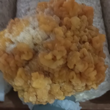 我有金耳要卖