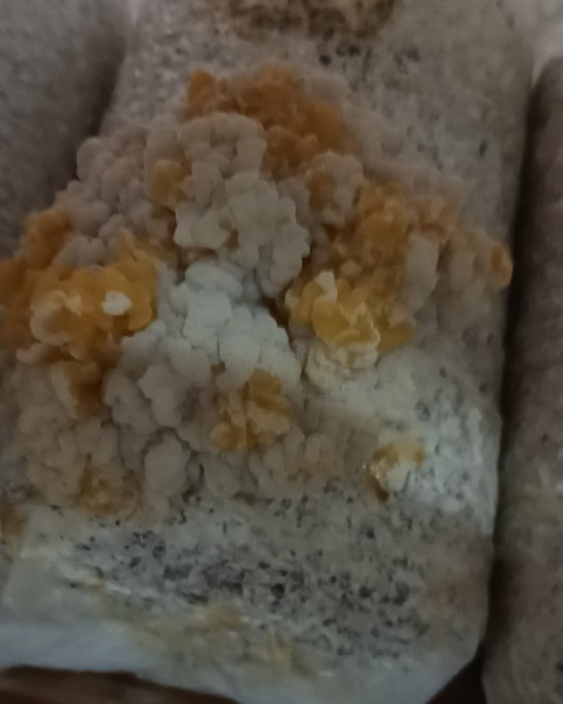 我有金耳要卖
