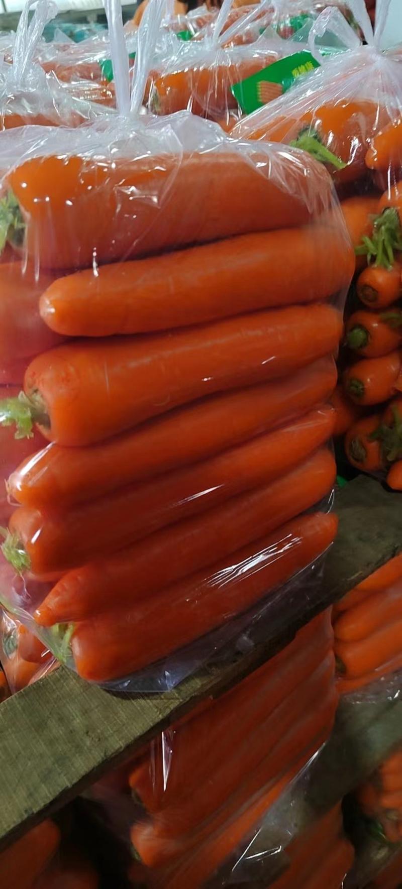 精品胡萝卜开封三红胡萝卜大量供应中包装齐全品质保障