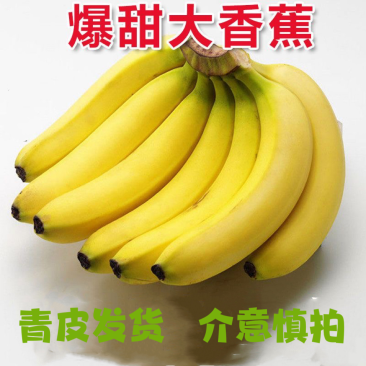 广西威廉斯香蕉大香蕉巴西香蕉软糯香甜产地直供四季有货