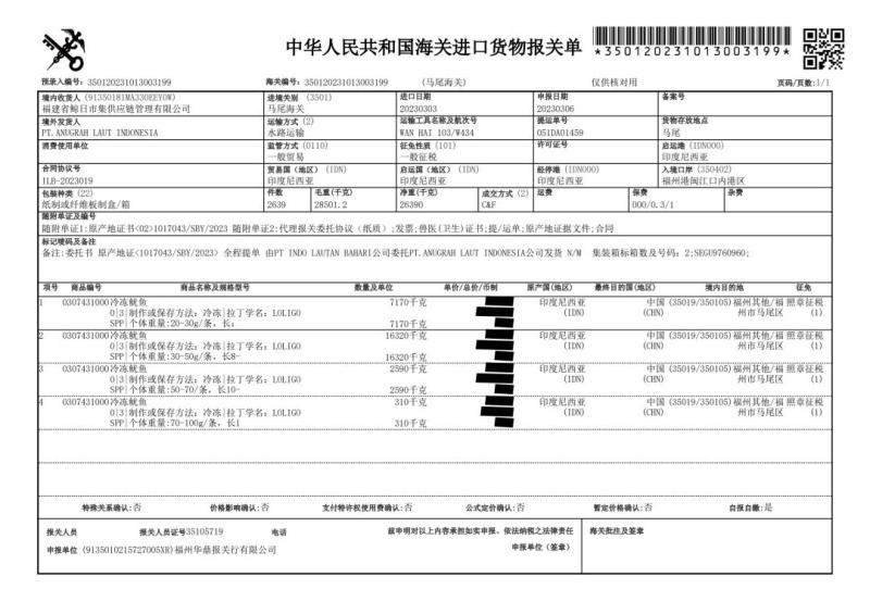 精品印尼白鱿鱼深海【鱿鱼】成色好价格美欢迎订购