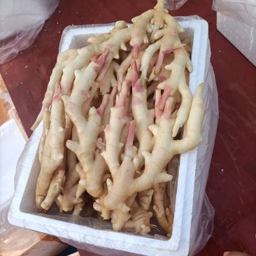 嫩姜