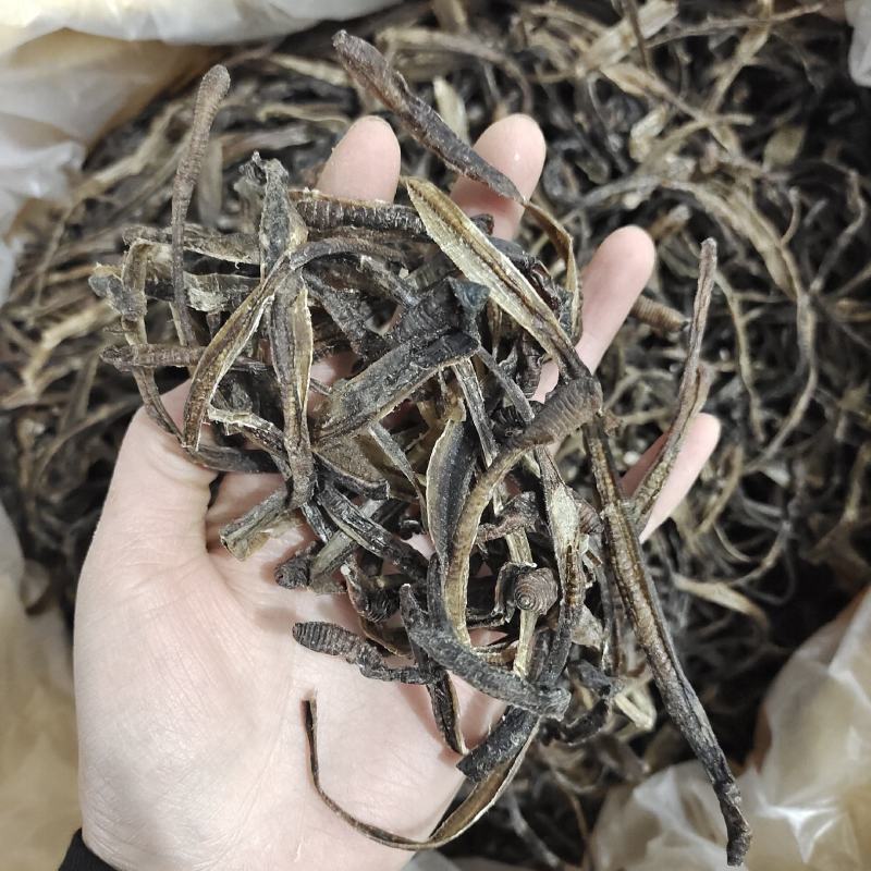 地龙，小地龙新货，一手货源，各种中药材批发，欢迎订购