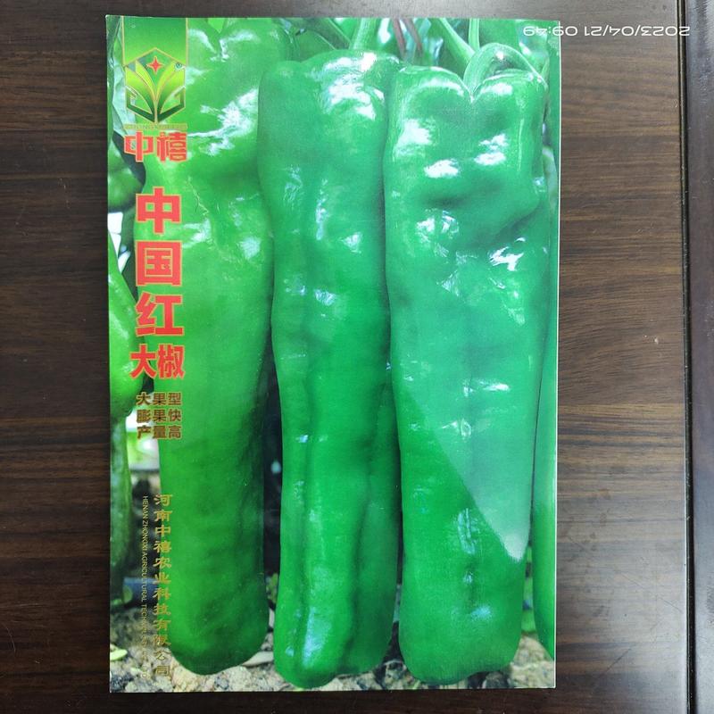薄皮大辣椒种子大果型早熟果长25-30厘米牛角椒
