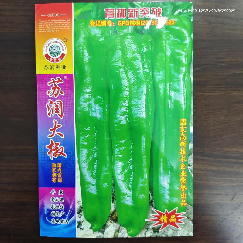 薄皮大辣椒种子大果型早熟果长25-30厘米牛角椒