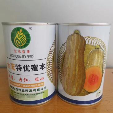 【热卖】金茂密本南瓜种子—肉厚肉红腔小欢迎联—南瓜种植基