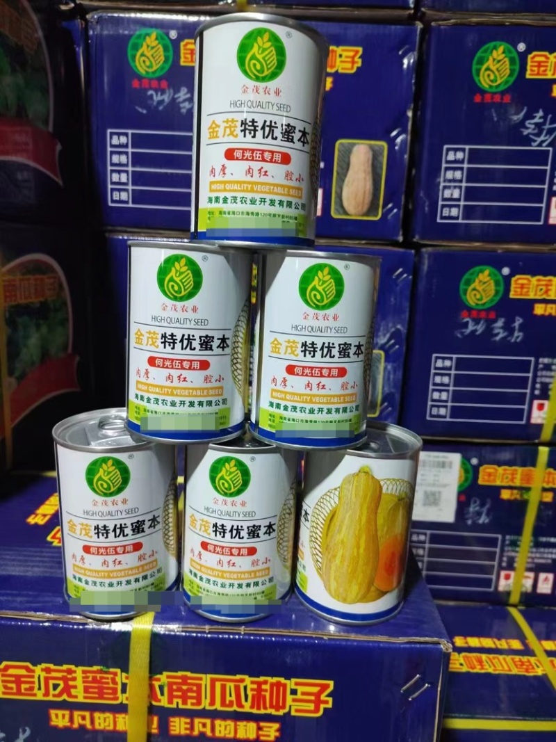 【热卖】金茂密本南瓜种子—肉厚肉红腔小欢迎联—南瓜种植基
