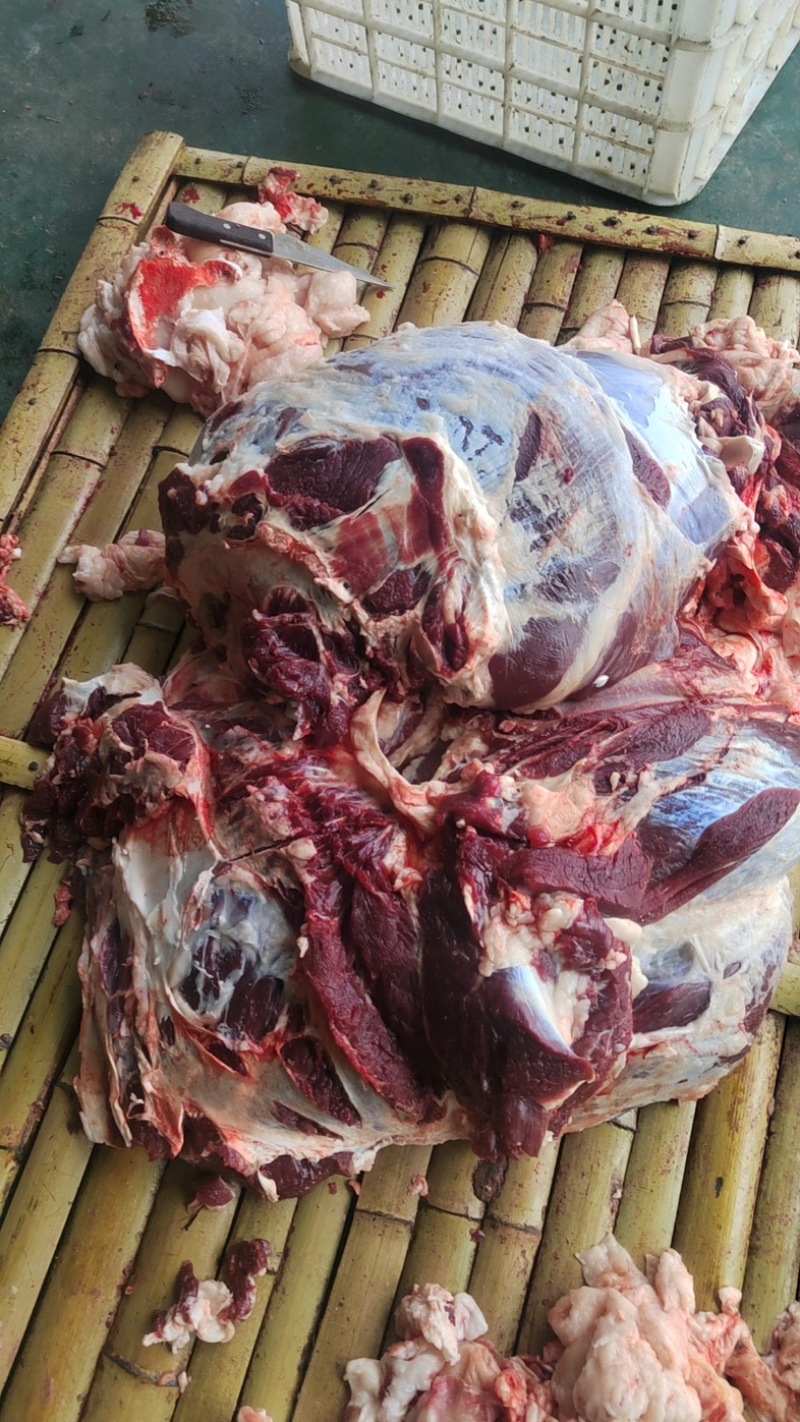 【精品牛肉河南焦作清真纯干无注水牛肉牛肋条