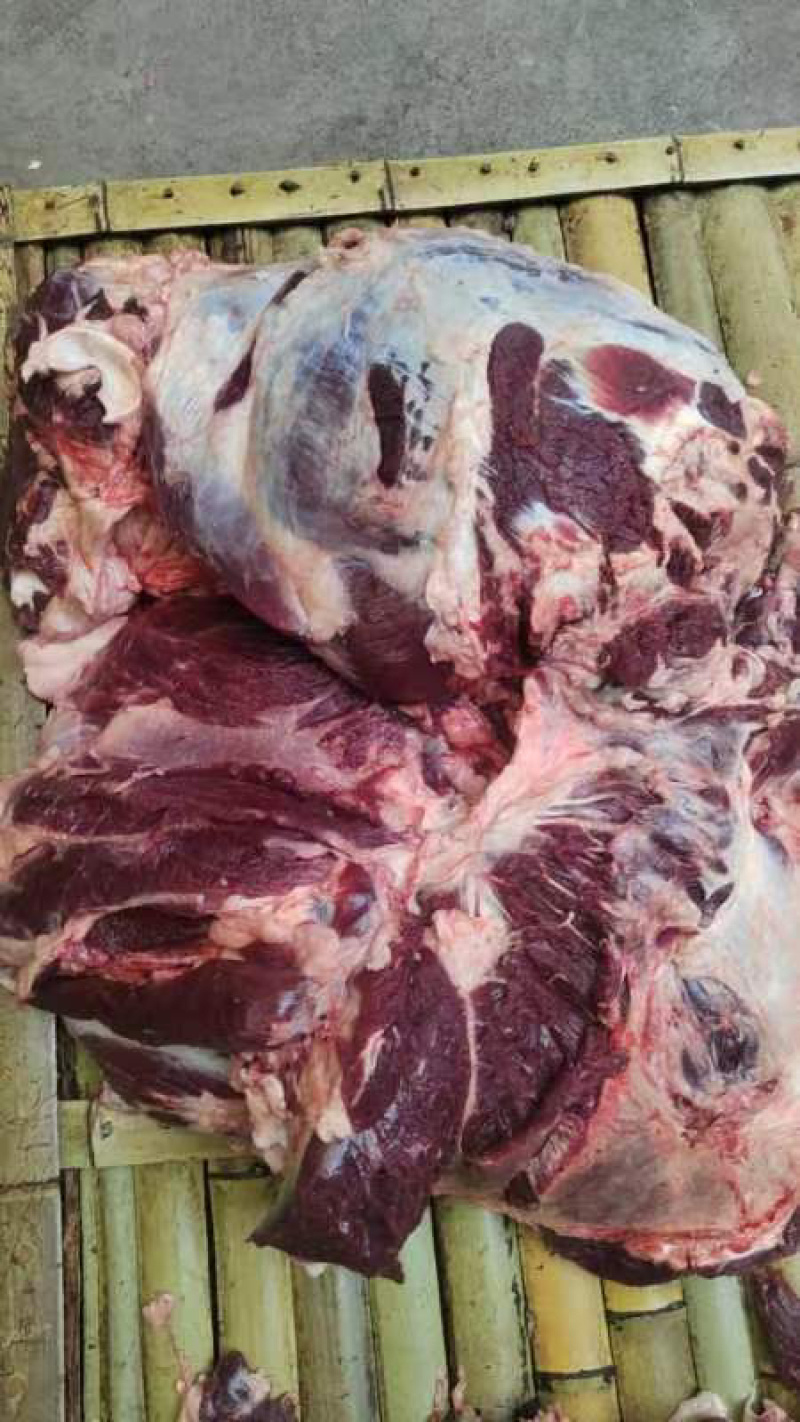 【精品牛肉河南焦作清真纯干无注水牛肉牛肋条