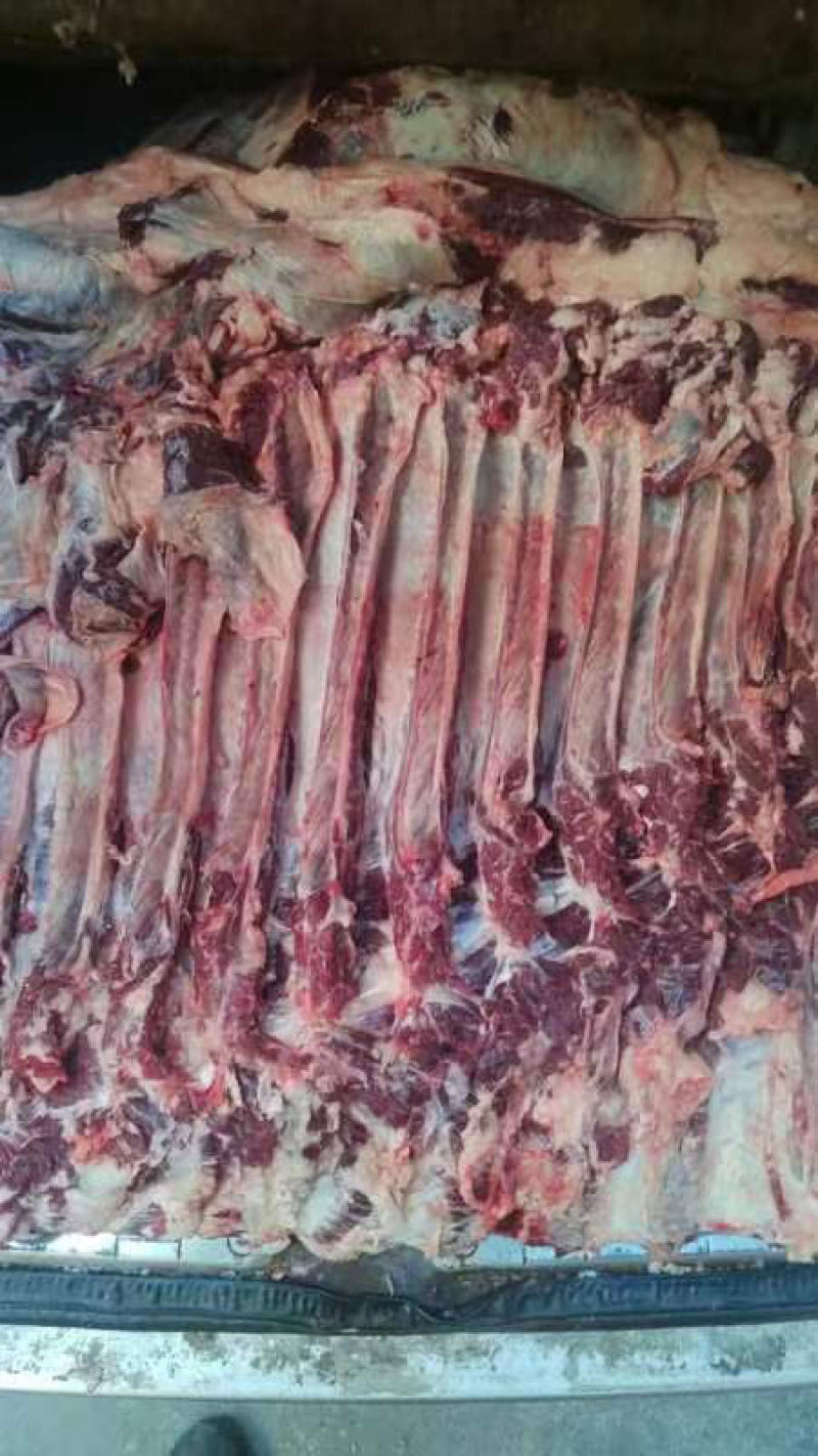 【精品牛肉河南焦作清真纯干无注水牛肉牛肋条