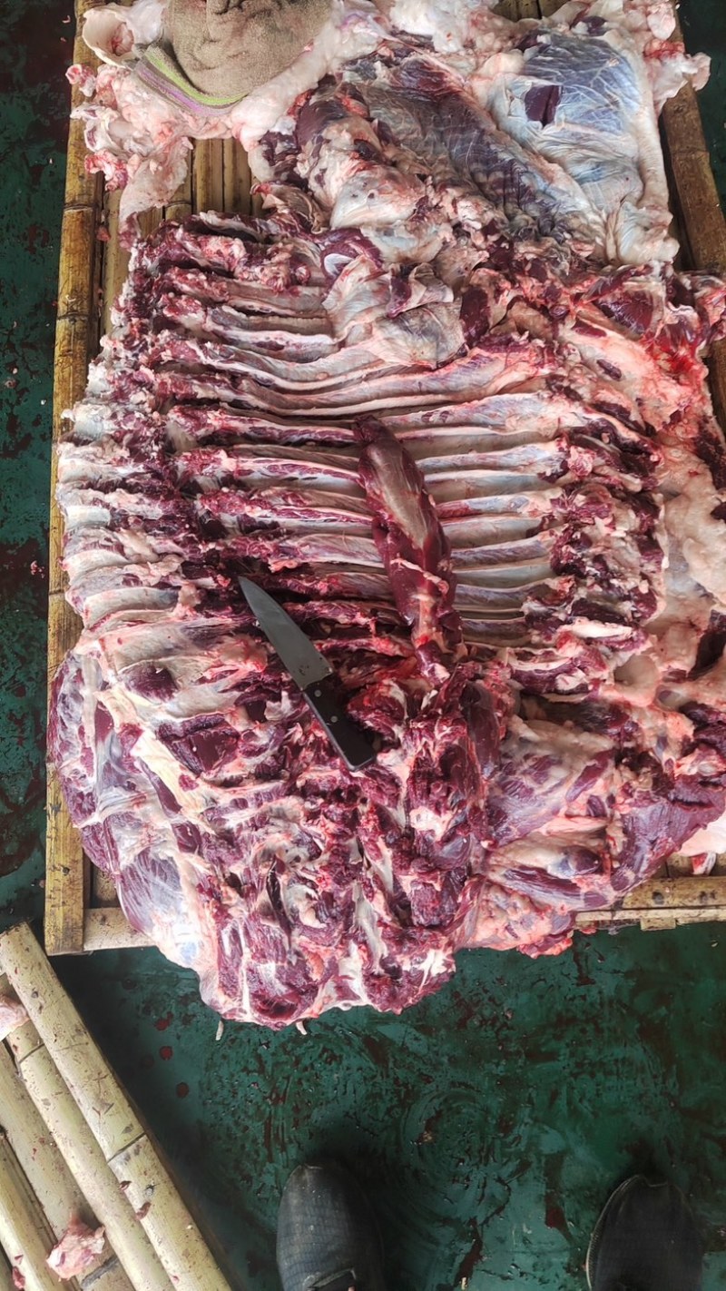 【精品牛肉河南焦作清真纯干无注水牛肉牛肋条