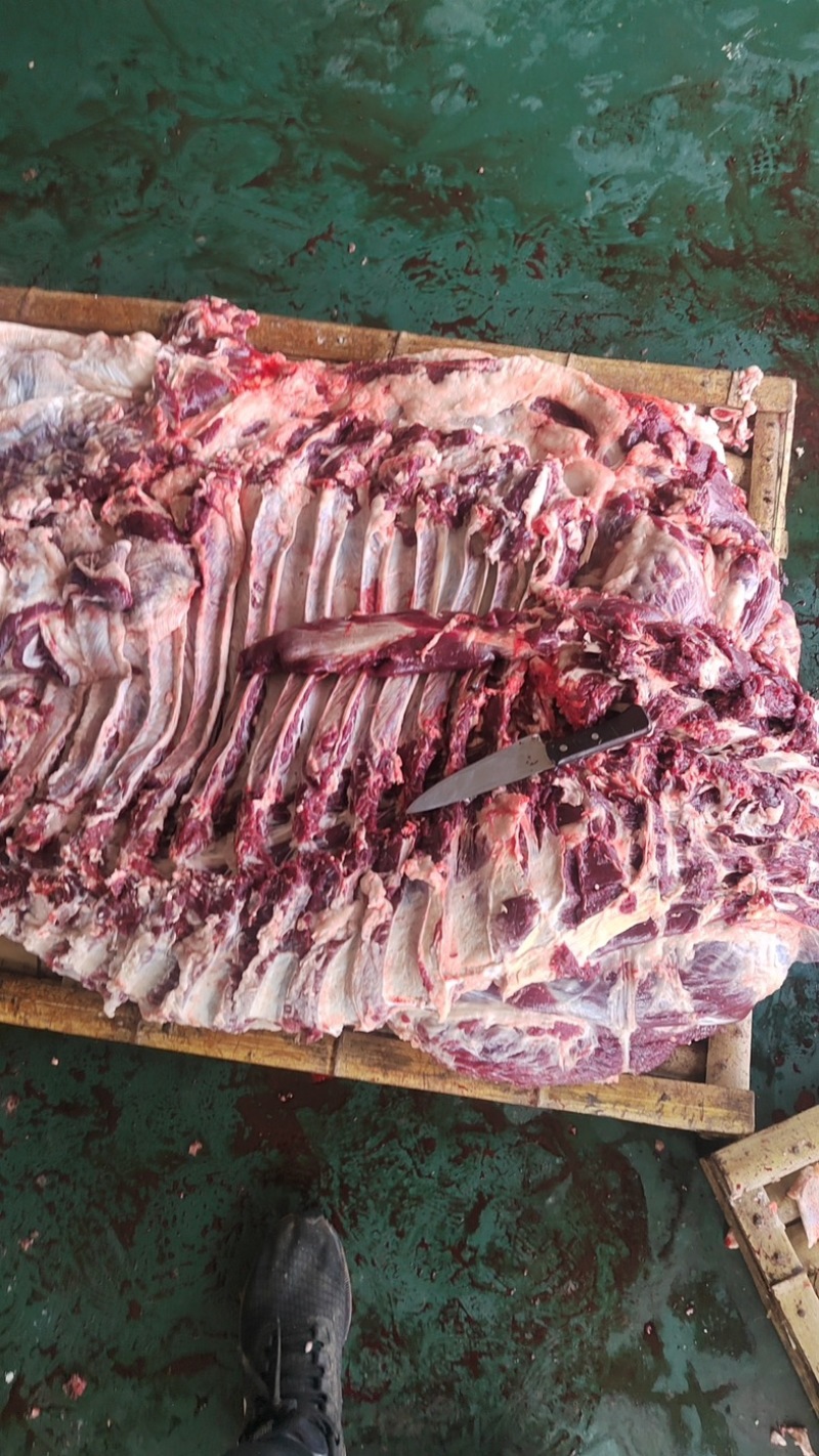 【精品牛肉河南焦作清真纯干无注水牛肉牛肋条