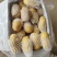 湖北新土豆实验1号土豆黄皮黄心大量供应,可实地考察看货