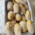 湖北新土豆黄皮黄心v7土豆大量供应，可实地考察看货