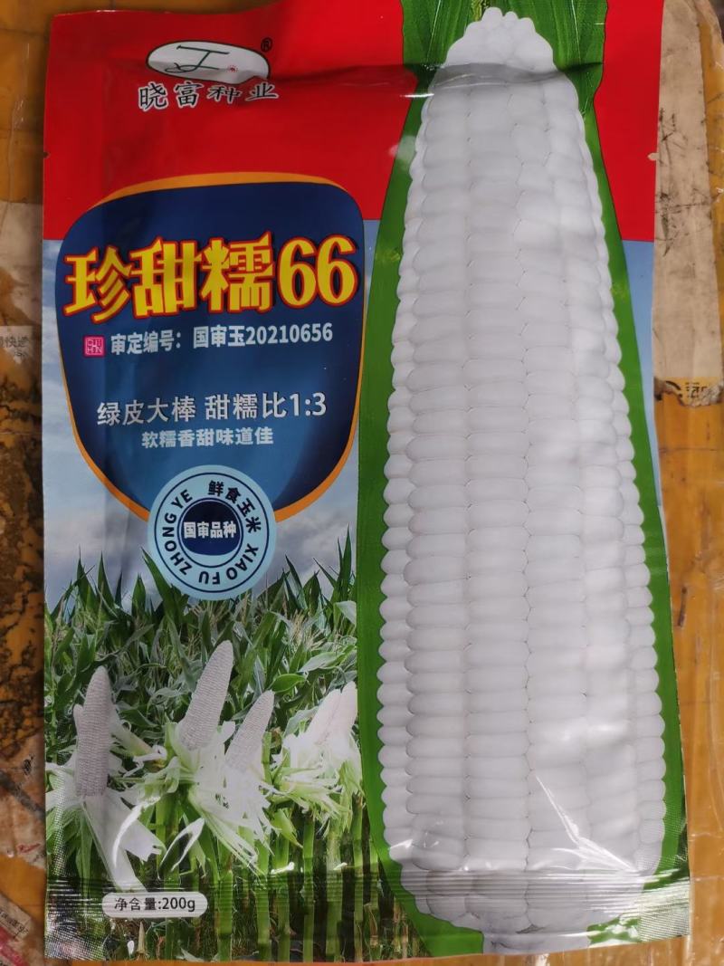 白皮甜瓜种子薄皮甜瓜种子果肉白色早熟丰产