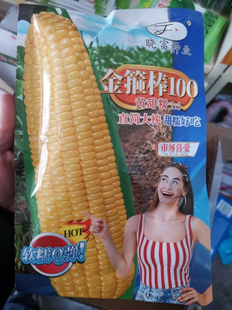 白皮甜瓜种子薄皮甜瓜种子果肉白色早熟丰产