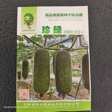 小冬瓜种子瓜长30厘米左右肉厚质密品质好瓜重500克左右