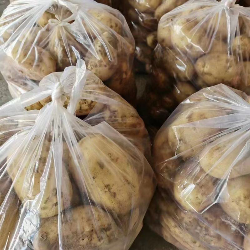 土豆湖北黄心土豆万亩基地直供量大优惠对接商超批发