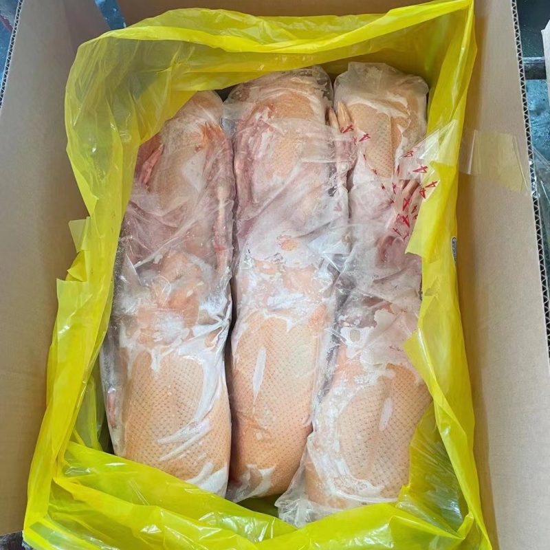 黄皮鸭