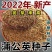 新产蒲公英种子籽野菜婆婆丁种植药食用种四季播种多年生种籽