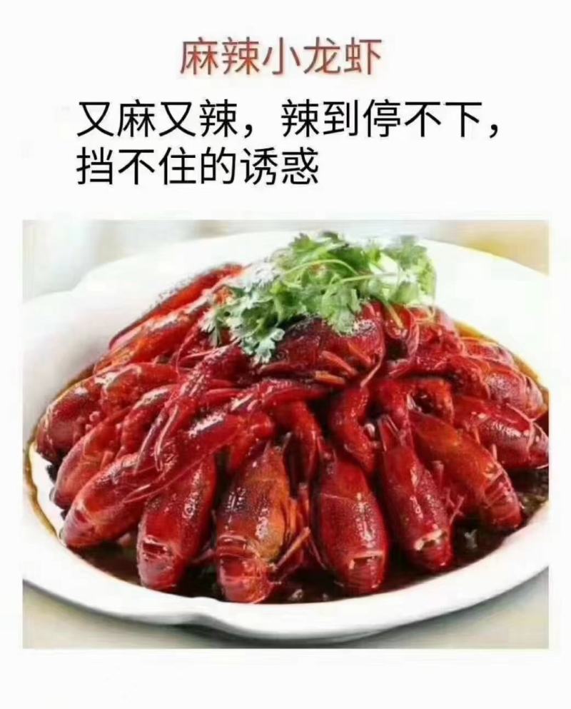 麻辣小龙虾，蒜蓉小龙虾