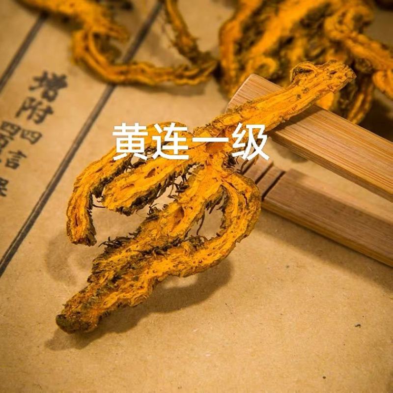 黄连一级产地湖北无熏无硫自然晾干产地直发对接药店药厂