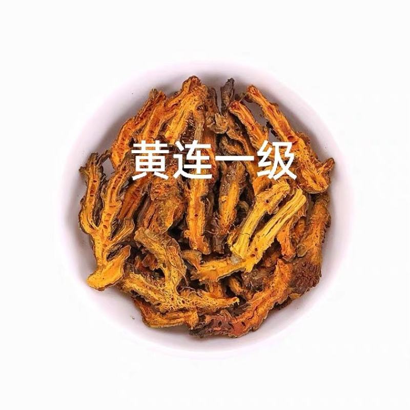 黄连一级产地湖北无熏无硫自然晾干产地直发对接药店药厂