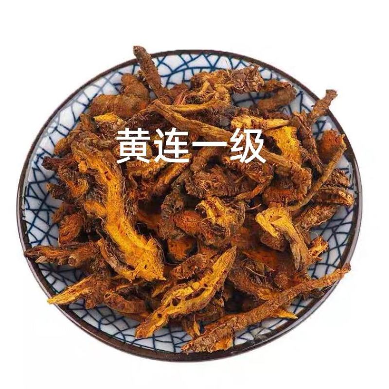 黄连一级产地湖北无熏无硫自然晾干产地直发对接药店药厂