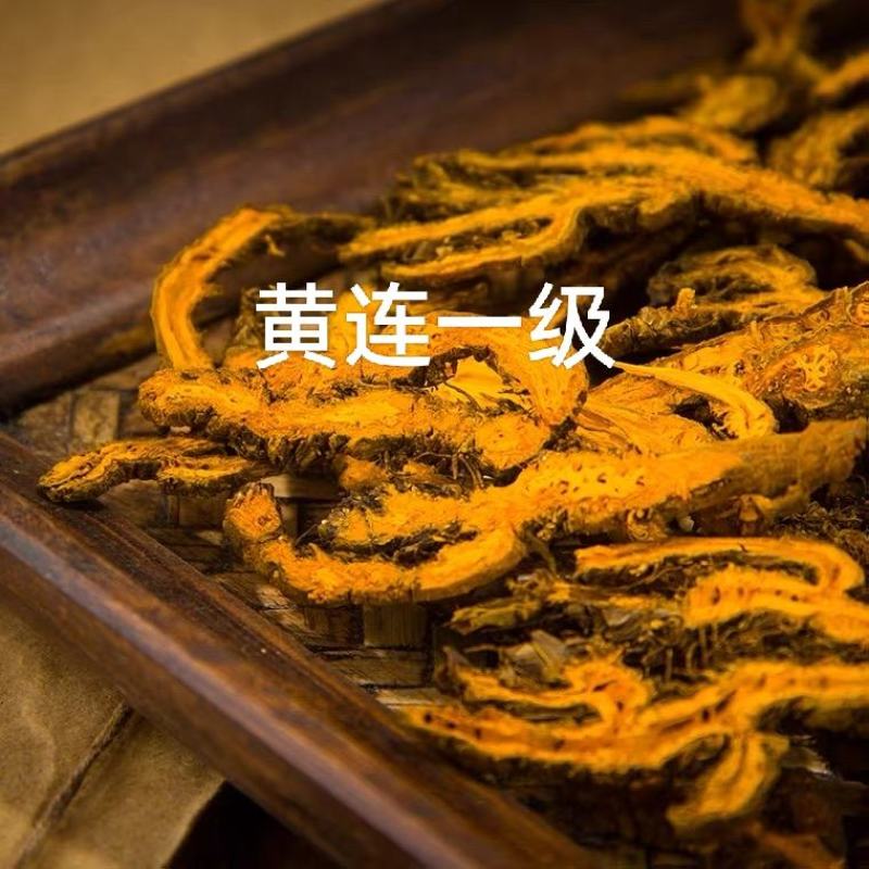 黄连一级产地湖北无熏无硫自然晾干产地直发对接药店药厂