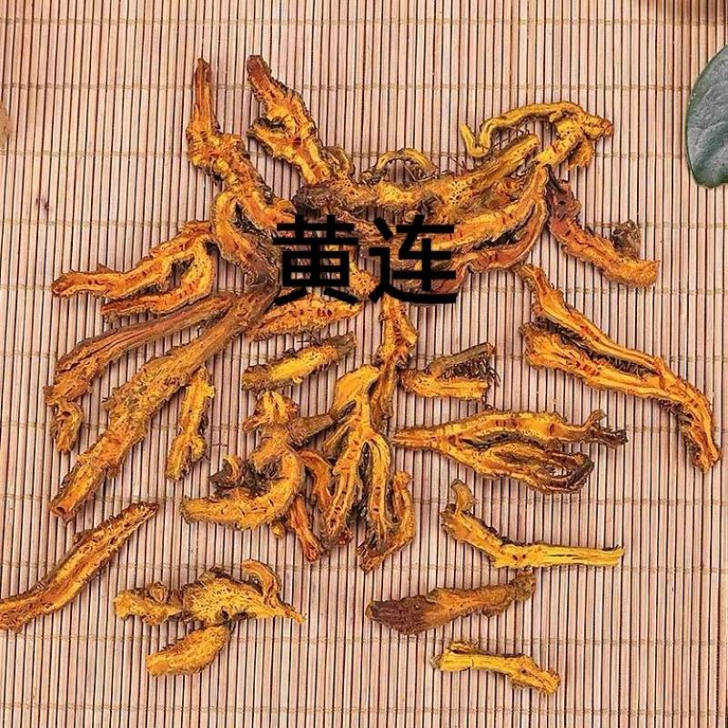 黄连一级产地湖北无熏无硫自然晾干产地直发对接药店药厂