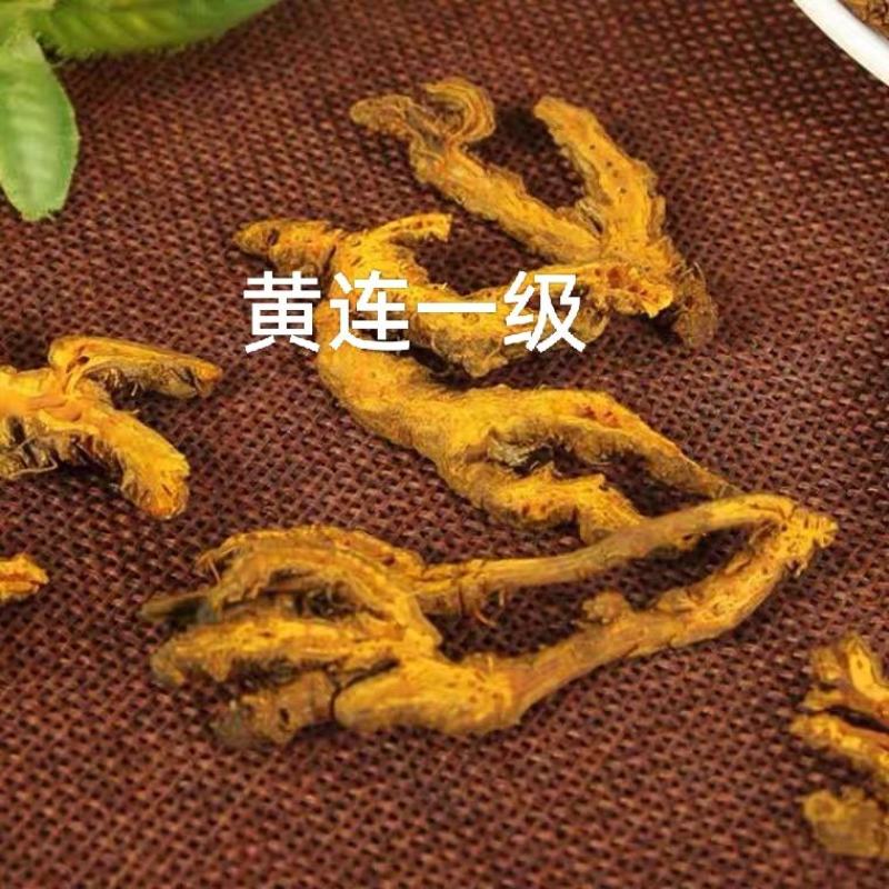黄连一级产地湖北无熏无硫自然晾干产地直发对接药店药厂