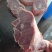 满肉羊蝎子羊脊骨蝴蝶排厂家直供支持锯断