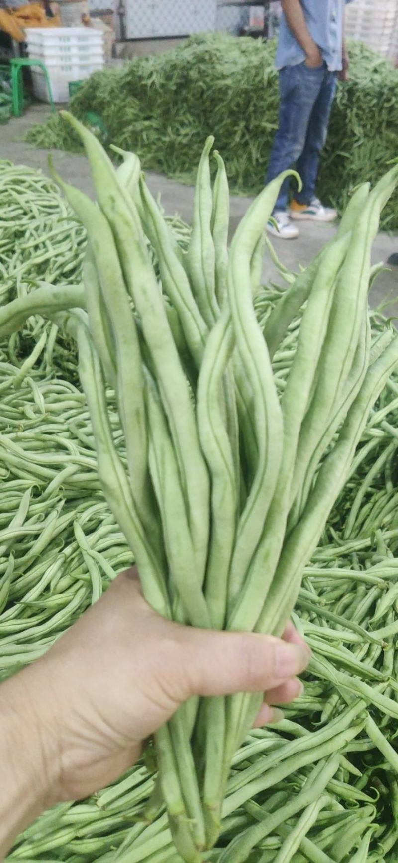 精品无茎豆