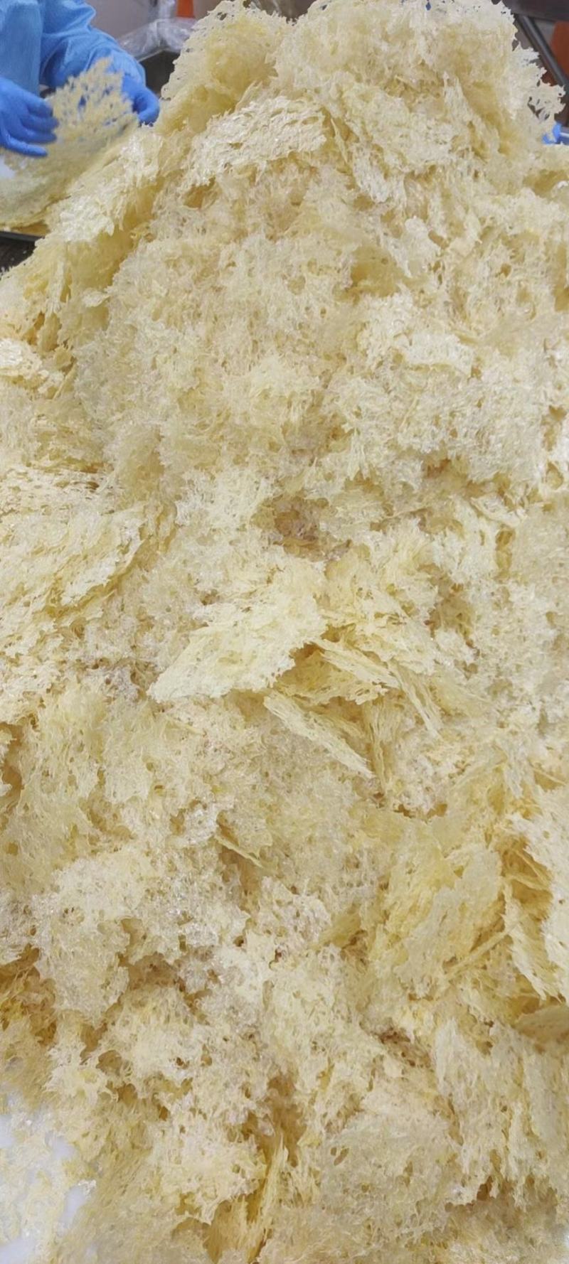 古田银耳有基认证本草破壁银耳可代工可贴牌源头厂家