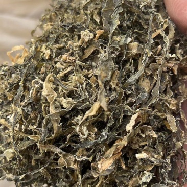 精品梅干菜货源充足一手货源量大从优诚信经营欢迎咨询