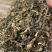 精品梅干菜货源充足一手货源量大从优诚信经营欢迎咨询
