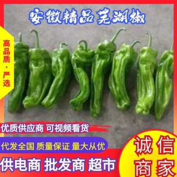 安徽芜湖椒大量上市，薄皮椒条形好，硬度好价格美丽全国发货