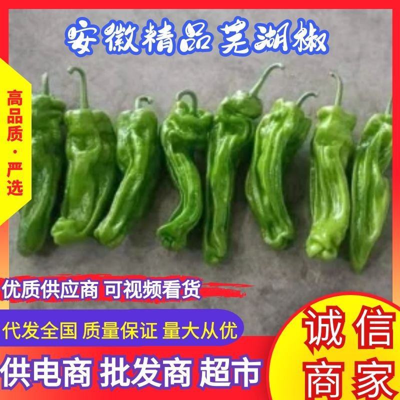 安徽芜湖椒大量上市，薄皮椒条形好，硬度好价格美丽全国发货