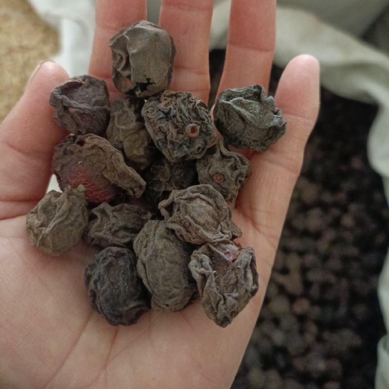 乌梅，规格齐全，货源充足，全国发货，量大从优