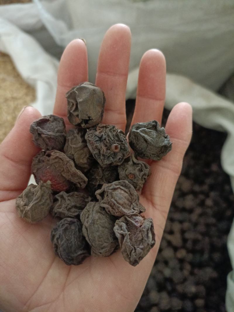 乌梅，规格齐全，货源充足，全国发货，量大从优