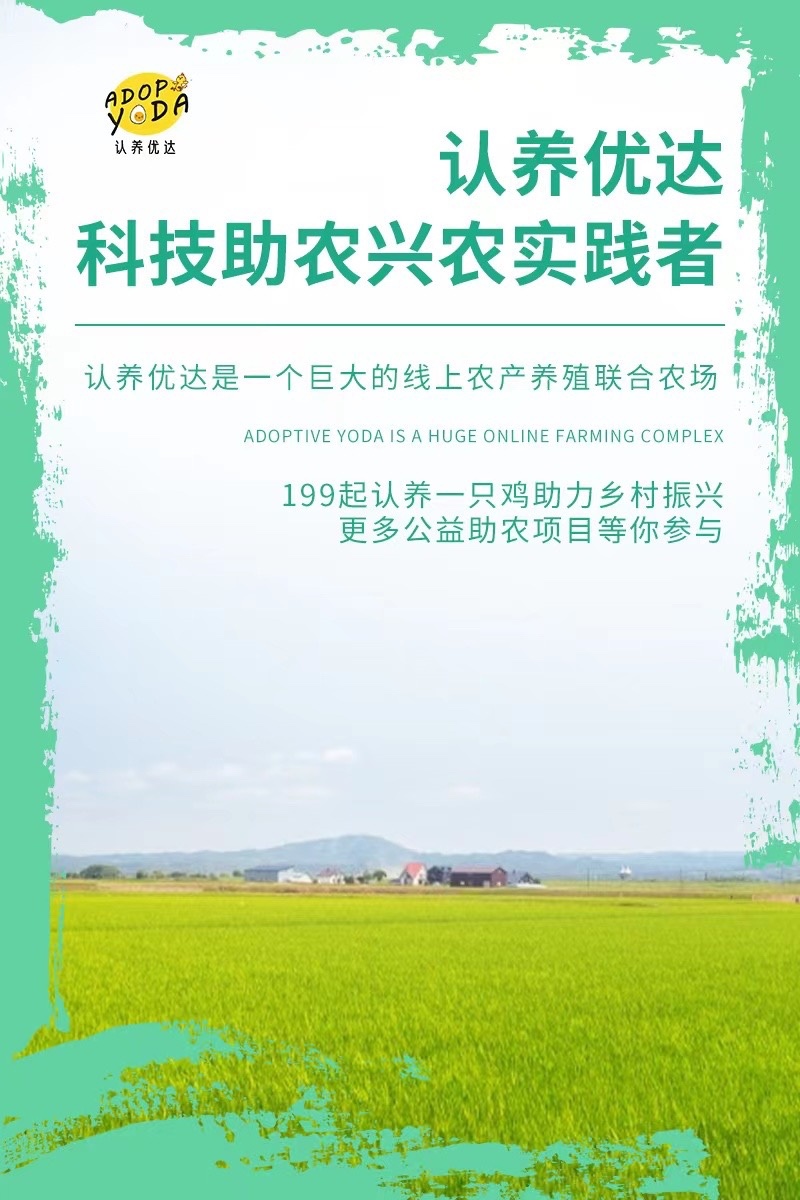 认养优达蛋食力虾青素鸡蛋