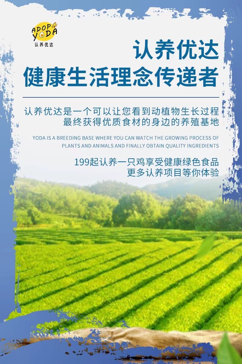 认养优达蛋食力虾青素鸡蛋