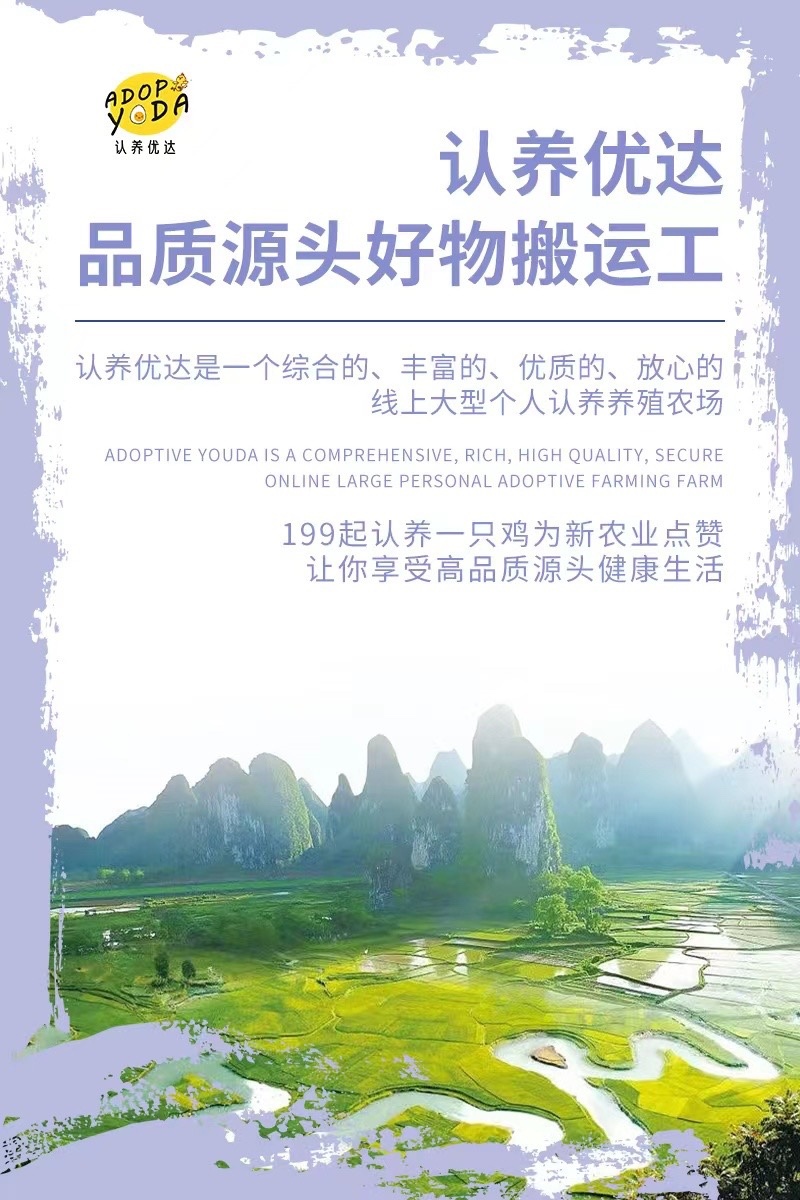 认养优达蛋食力虾青素鸡蛋