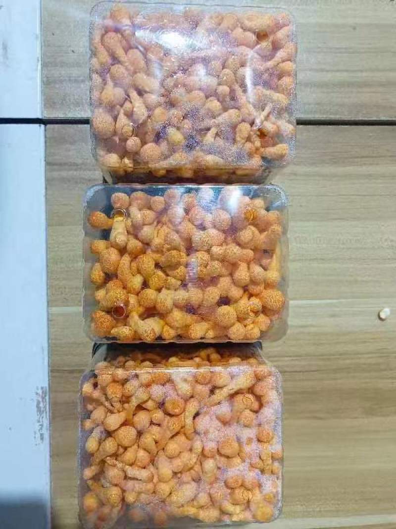 活体虫草花招代理商